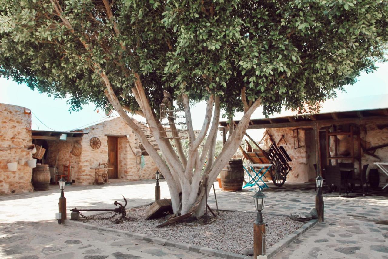Agroturismo La Gayria Tiscamanita Εξωτερικό φωτογραφία