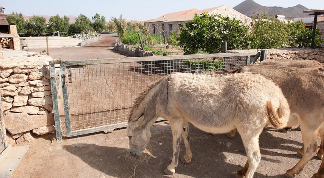 Agroturismo La Gayria Tiscamanita Εξωτερικό φωτογραφία